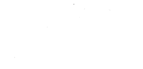 2023年に創立100年目を迎えます